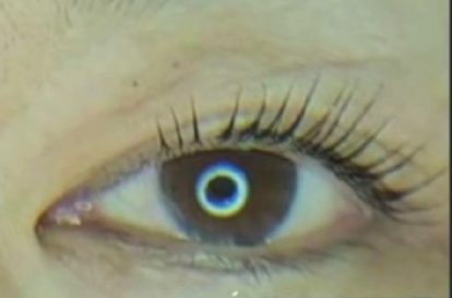 EveGanzi Lashes Montreal / EveGanzi Cils Montréal